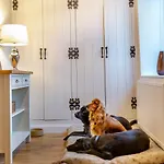 Holiday home 3 Bed In Horsehouse Oc-e29610 *